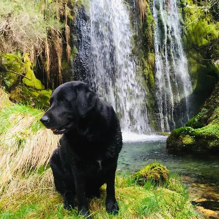 Prázdninový areál Mountain Log O Lobo Cabeceiras de Basto